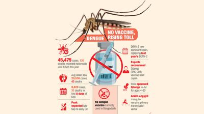 Dengue demands vaccine action