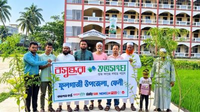 Shuvosangho plants saplings in Feni