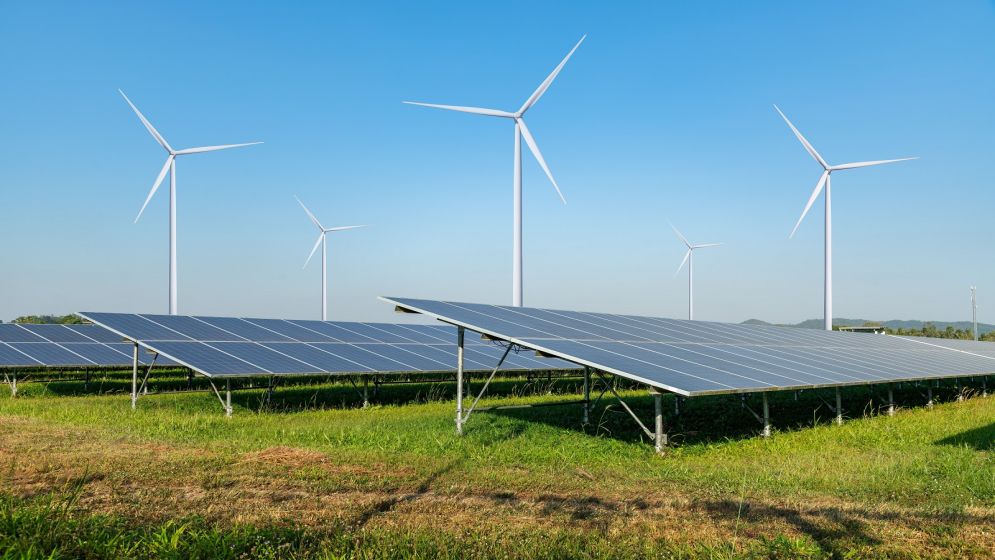 Renewable power to account for 20% of supplies by 2030: PM