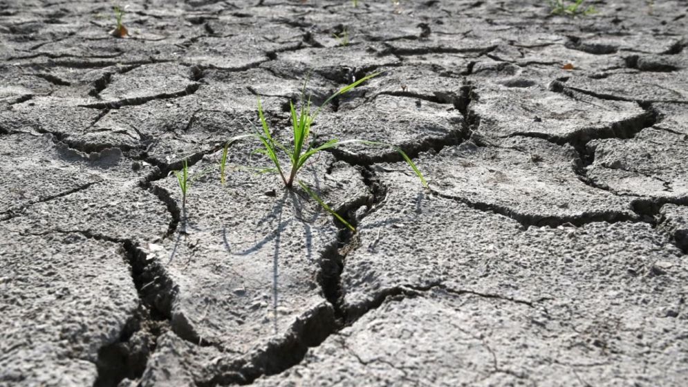 August hottest month ever recorded globally
