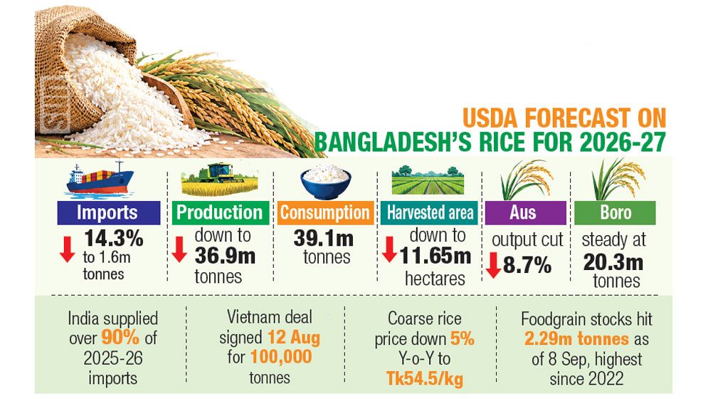 ‘Rice imports set to climb 14%’