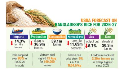 ‘Rice imports set to climb 14%’