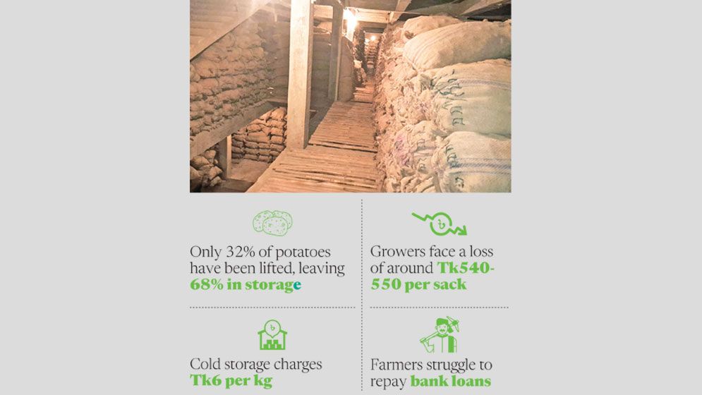 Unsold potatoes pile up in Joypurhat cold storages amid price slump