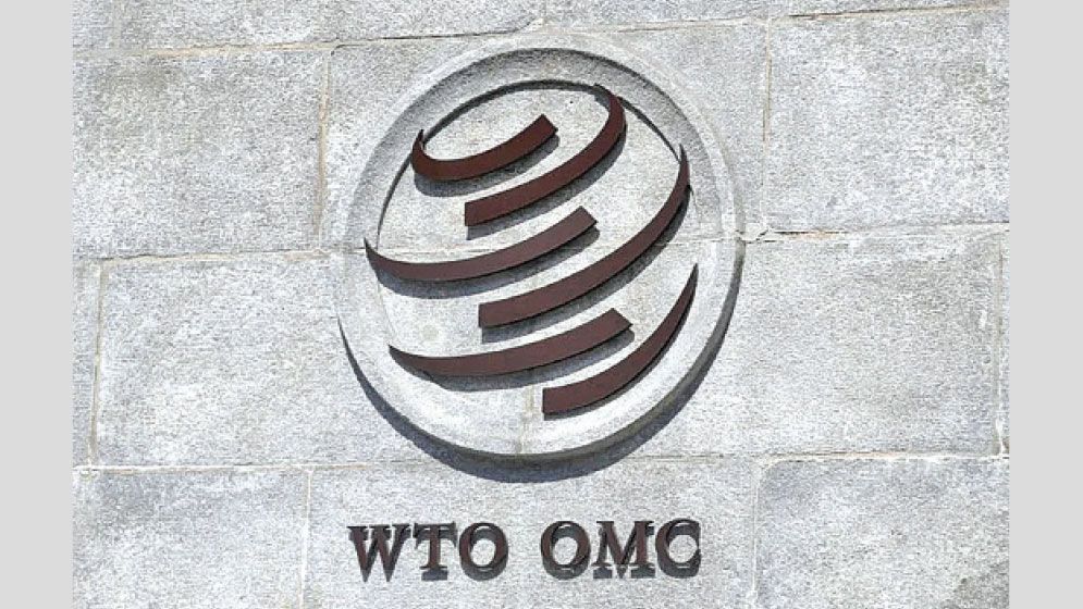 Global trade system at critical juncture: WTO