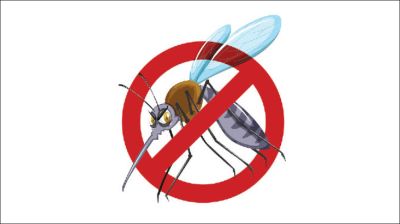 Dengue, measles claim 13 lives 
in 24hrs