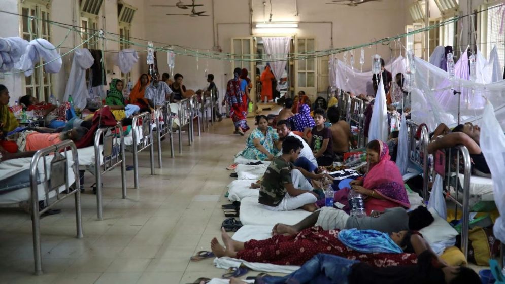 Dengue outbreak: 79 deaths reported in first 17 days of September