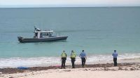 Shark kills swimmer off beach in Western Australia