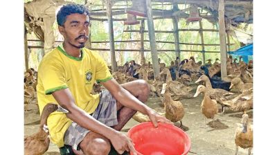 23-year-old Pallab thrives with duck farming in Khulna