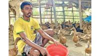 23-year-old Pallab thrives with duck farming in Khulna