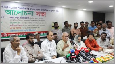 Rizvi calls for criticism while maintaining democratic environment