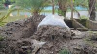Gazi Nazrul’s wife Mariam laid to rest in family graveyard