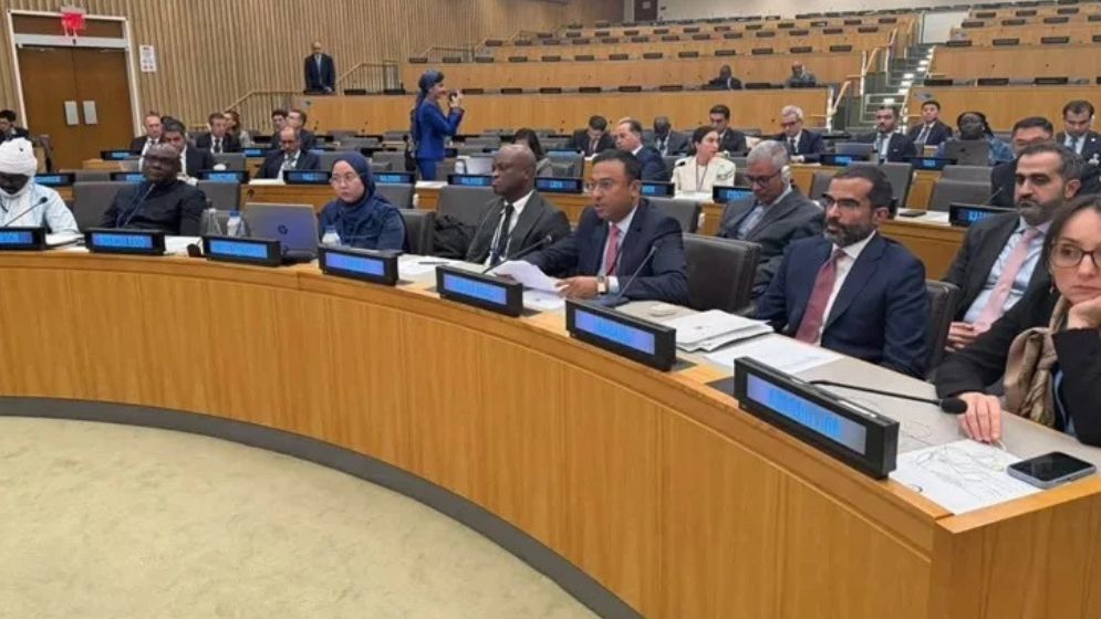 Bangladesh seeks OIC support for Gambia's Rohingya case