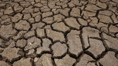 World ignoring UN request for El Nino disaster fund: FAO