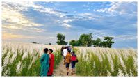 Autumn’s white wonder unfolds on the Padma char