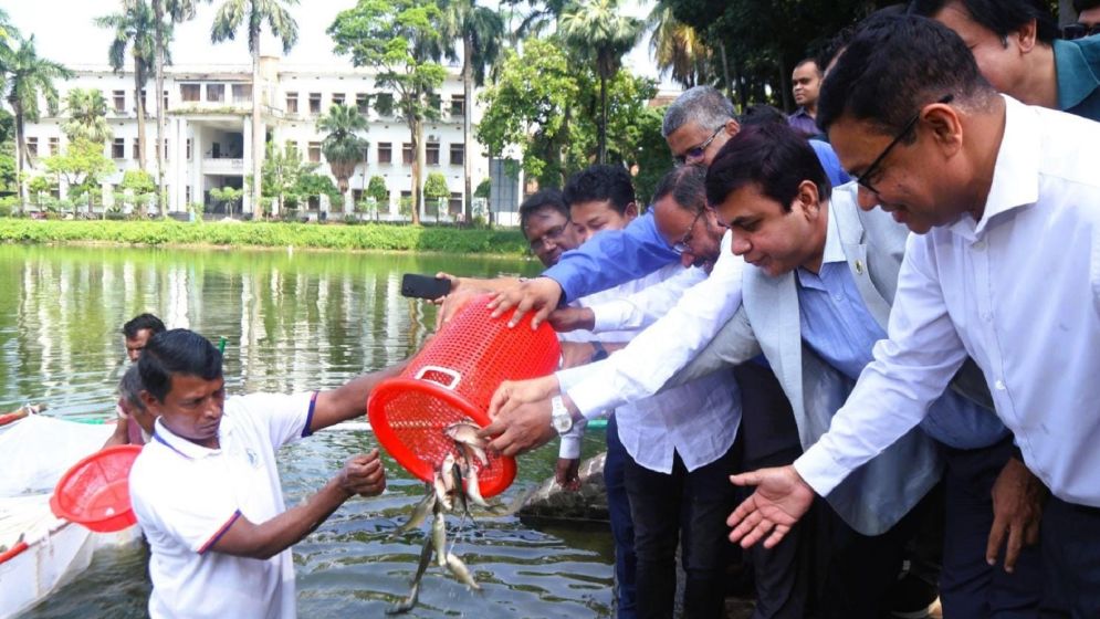 Initiatives adopted to export freshwater fish: State minister