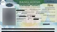 Bangladesh Missions abroad go offline due to technical issues with DIP server