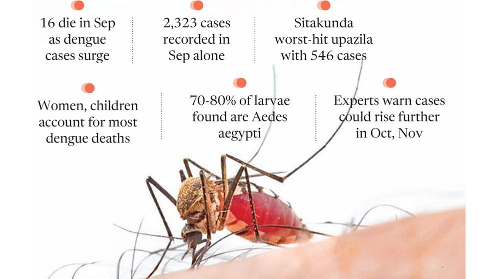 Over half of this year’s cases recorded in Sep alone
