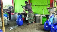 Milk made from chemicals, fake dairy farms mushroomed across Pabna