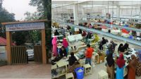 Bengal Shoe closure leaves 2,000 workers jobless in Lakshmipur