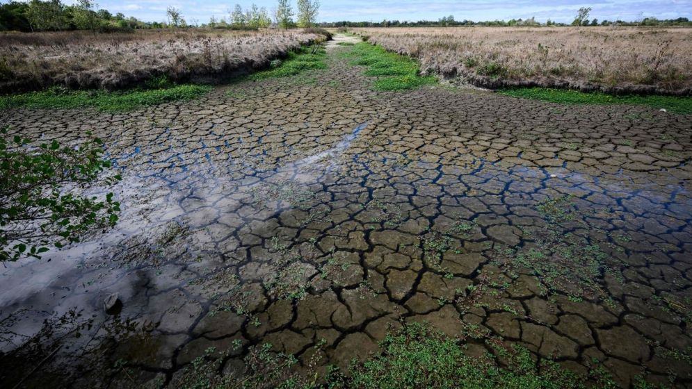 Climate hopes shift from politics to the courts