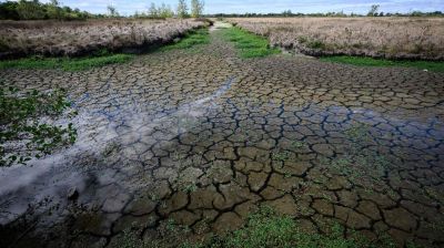 Climate hopes shift from politics to the courts