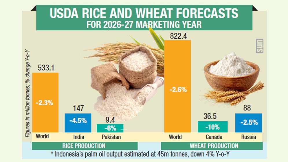 Food security risks mount as USDA forecasts lower crop output