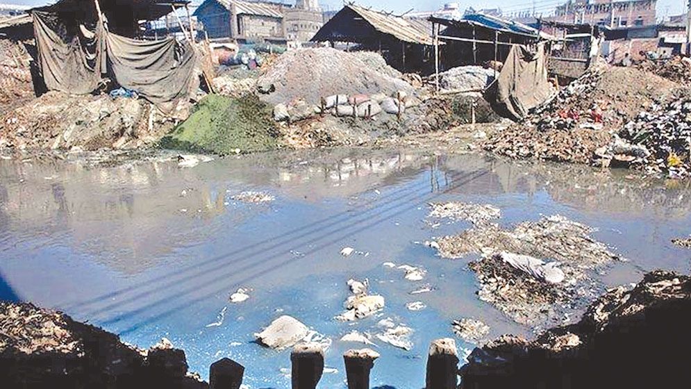 Tiny Microbes, Big Impact: Bacterial Bioremediation of Tannery Waste