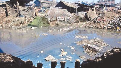 Tiny Microbes, Big Impact: Bacterial Bioremediation of Tannery Waste
