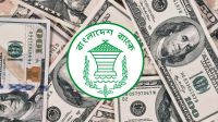 Remittance inflow rises 12.7% in July-12 Oct