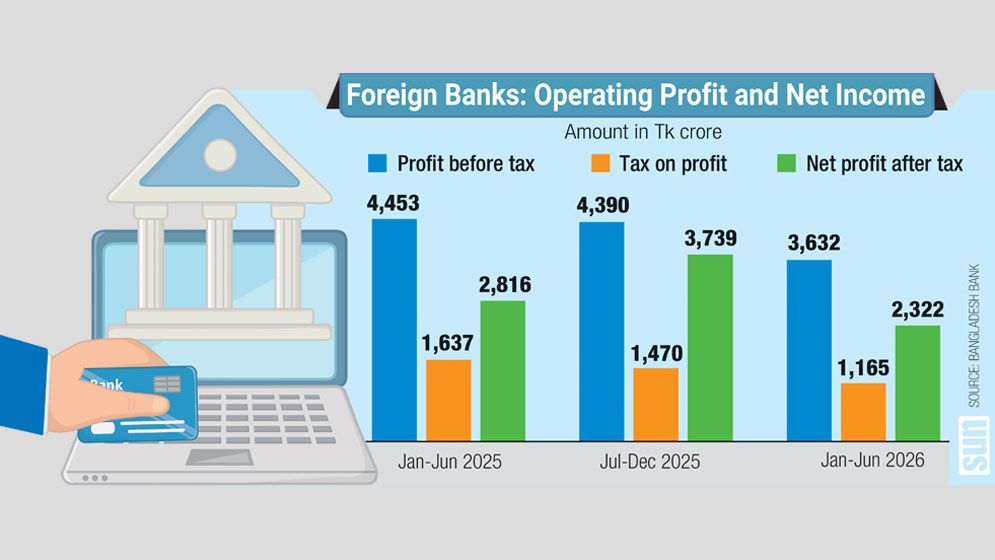Foreign banks’ profits fall despite strong capital in H1