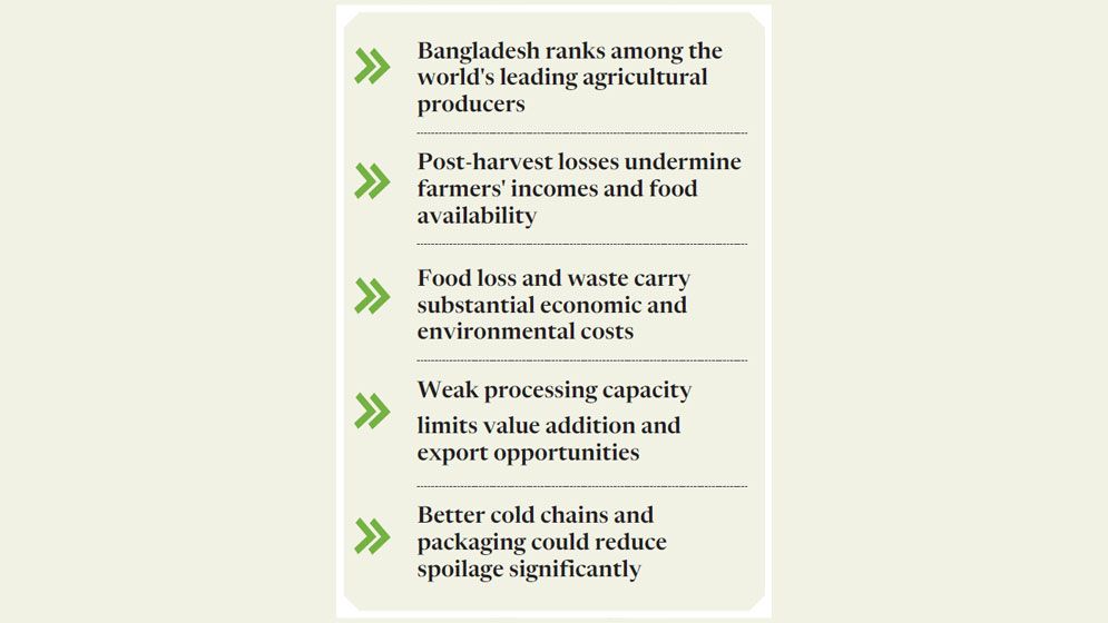 Food production rises, innovation lags