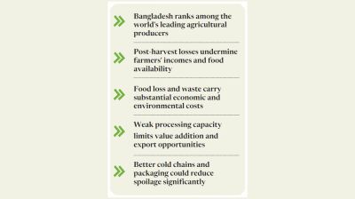 Food production rises, innovation lags