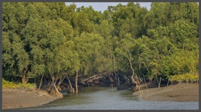 Experts call for strict safeguards to curb air pollution near Sundarbans