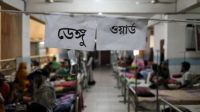 Dengue claims six more lives in 24 hours