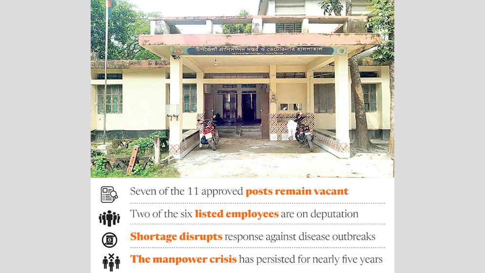 Only four staff serve 12,000 livestock farmers in Natore’s Bagatipara