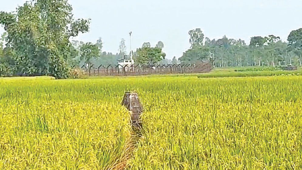 BSF bid to push 12 people into Bangladesh foiled at Lalmonirhat border