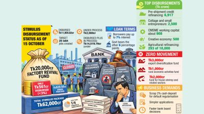 Banks, collateral, court cases stall factory revival funds