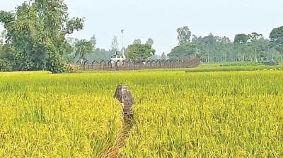 BSF bid to push 12 people into Bangladesh foiled at Lalmonirhat border