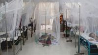 Four more die of dengue, 1,851 hospitalised in 24 hours