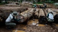 World faces nature reality check at UN biodiversity conference