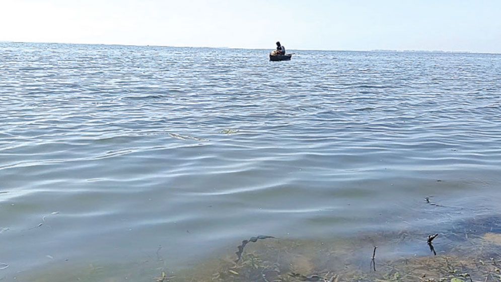 Once fish-rich Sunamganj haors fall silent