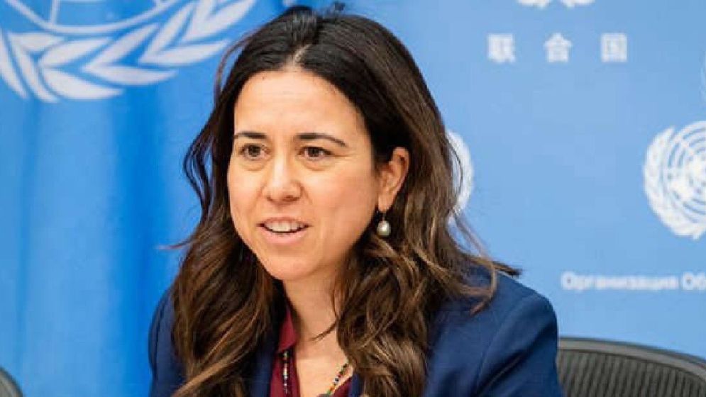 UAE figure joins late race to lead UN