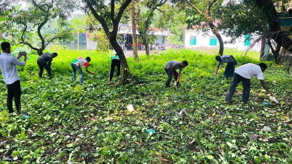 Cleanliness drive held in Bhola to combat dengue outbreak