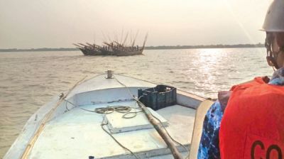 Hilsa fishing continues despite ban in southern rivers
