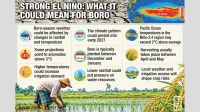 Strong El Niño raises risks to Boro