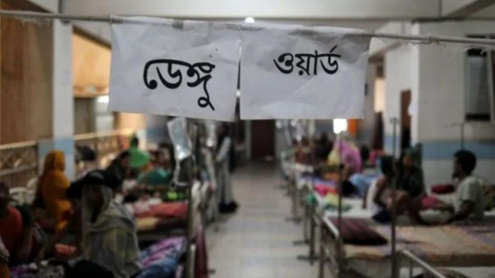 Three more die of dengue, 1,299 hospitalised in 24 hours