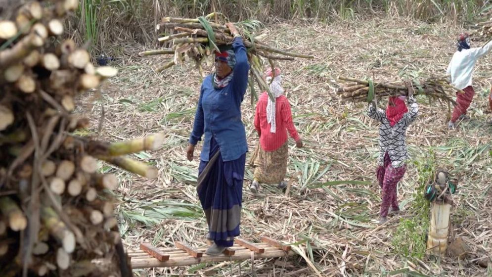 Indian women undergo womb removal to avoid losing wages: Report