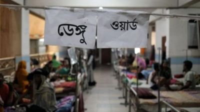Three more die of dengue, 1,299 hospitalised in 24 hours