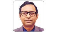 Why Developing States Need a Professional Bureaucracy