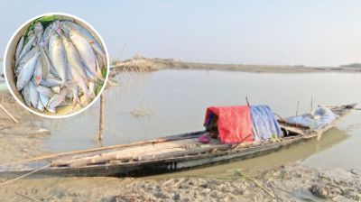 Hilsa fishing goes on through ban, night-time trade alleged